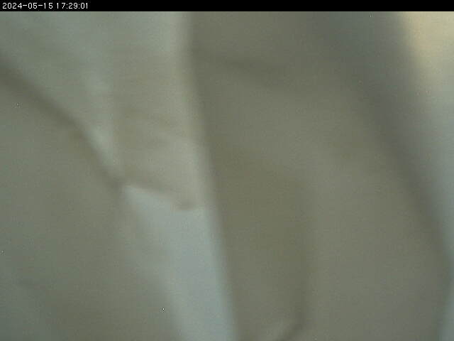 webcam yachthafen damp